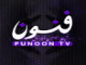 Funoon TV  قناة فنون